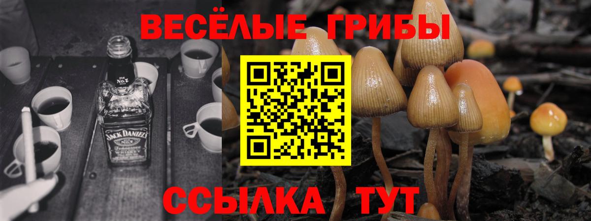 купить закладку  Псилоцибиновые грибы Cubensis  Вход с VPN  Сухой Лог 